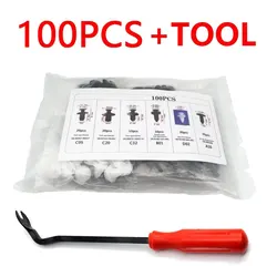 Versatile 100-Piece Plastic Buckle & Rivet Kit for Auto Body Repair and Fastening (100Pcs and Tool)