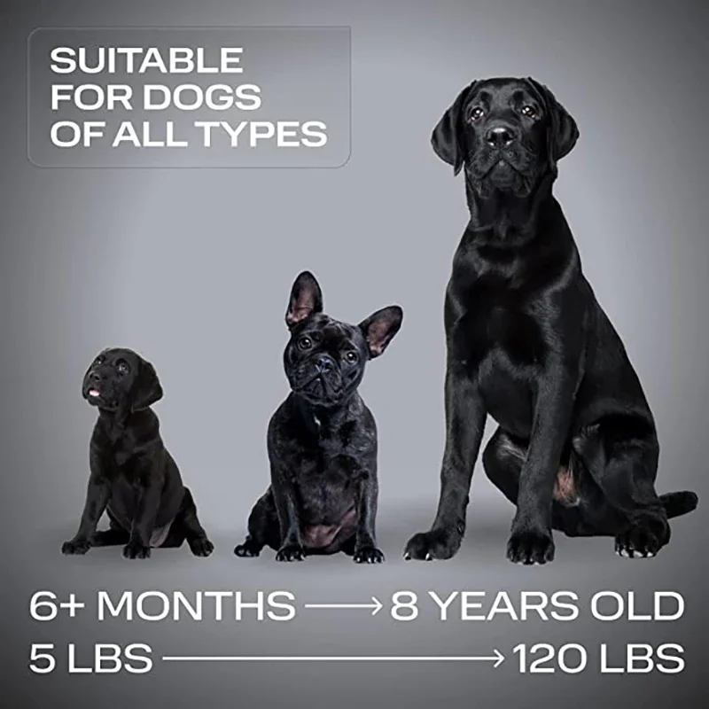 Ultrasonic dog training device outdoor use