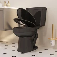 Two Piece Elongated Toilets ADA Chair Comfort Height 16.5" Powerful Single Flush 1.28 GPF 12” Rough in With Side Trip Lever 1