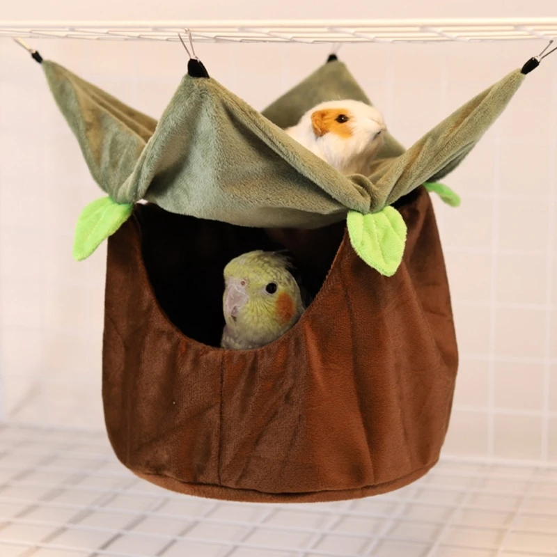 Budgies ײ ޹ ֿ  ǳ  θ  ̾  Ʈ