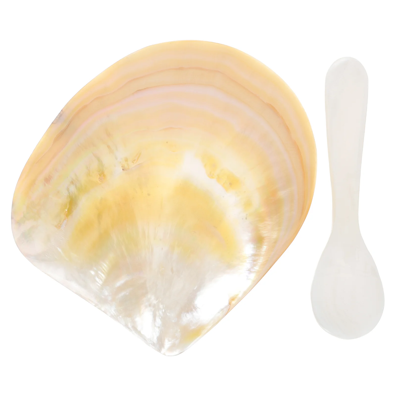 

Natural Shell Plate Serving Trays: Nautical Jewelry Dish Dessert Plate Snack Dish Sauce Plate for Jewelry Tissues Candles