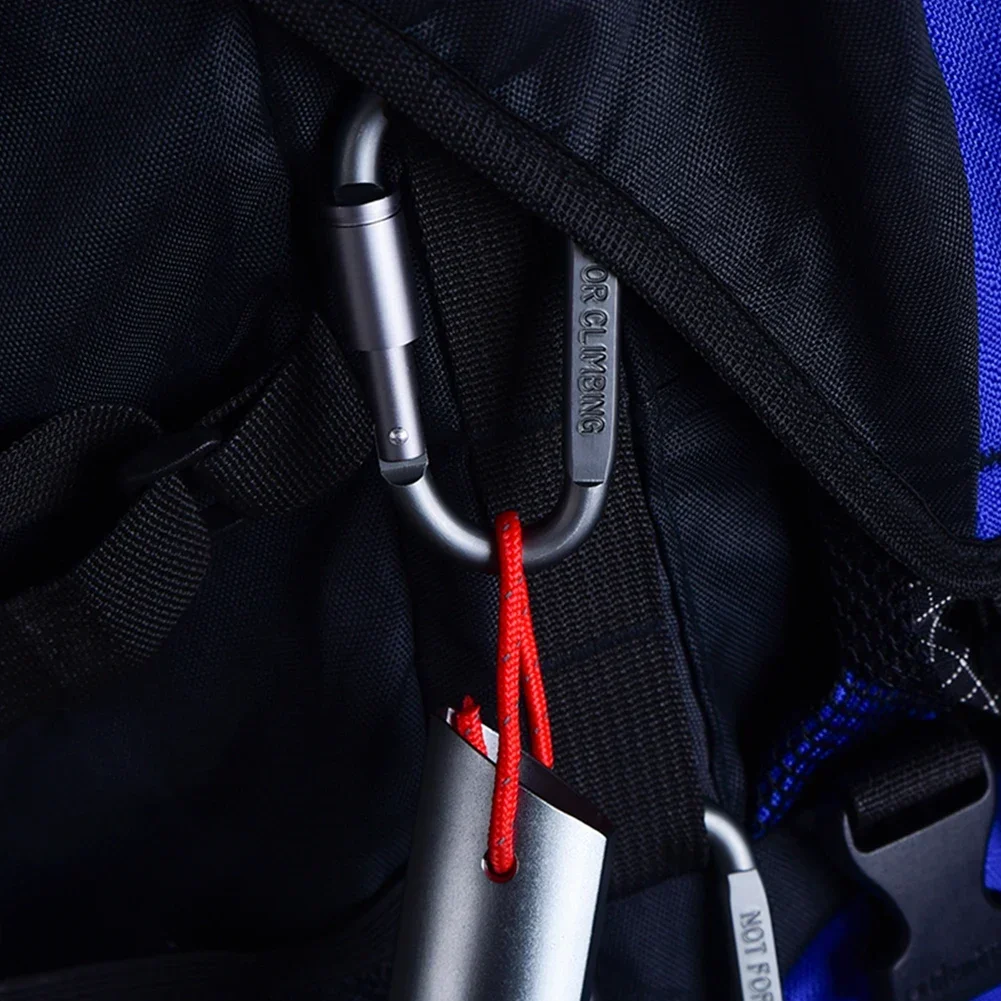 Carabiner set in pocket