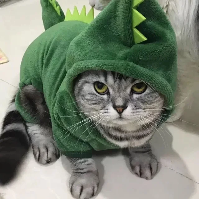 Dinosaur Pet Costume 2