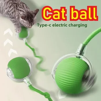 Automatic Rolling Pet Ball 1