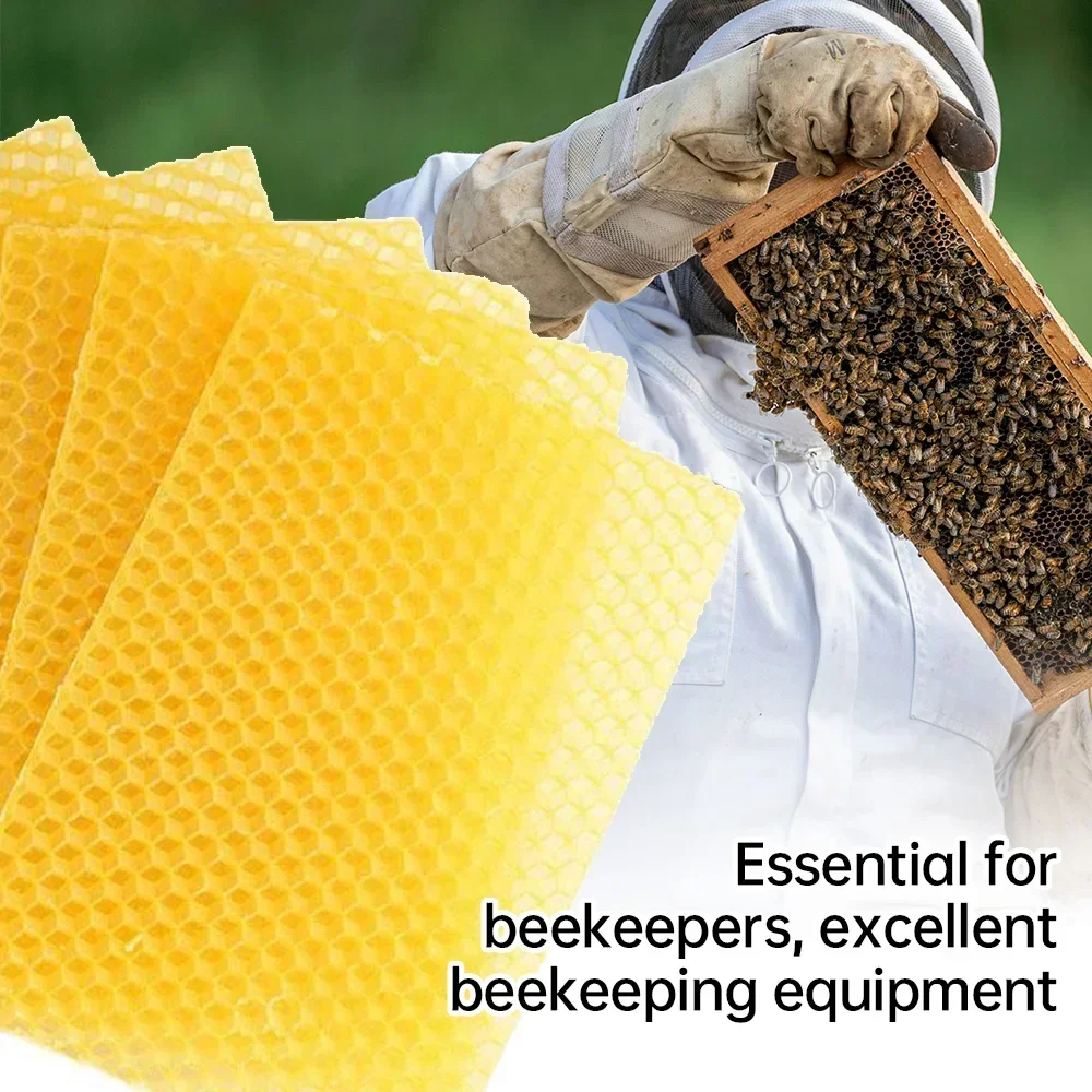 10Pcs Beeswax Sheets Honeycomb Beekeeping Foundation Sheets Candle Making Craft DIY Kits Honey Candles Maker Full Bees Wax