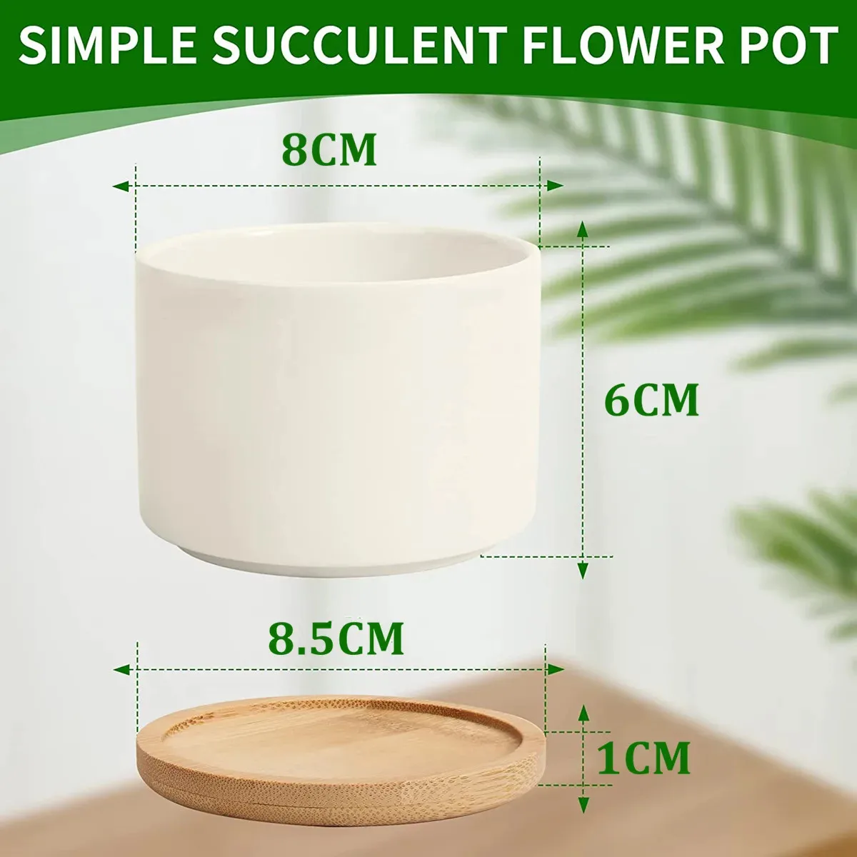 dsc-products