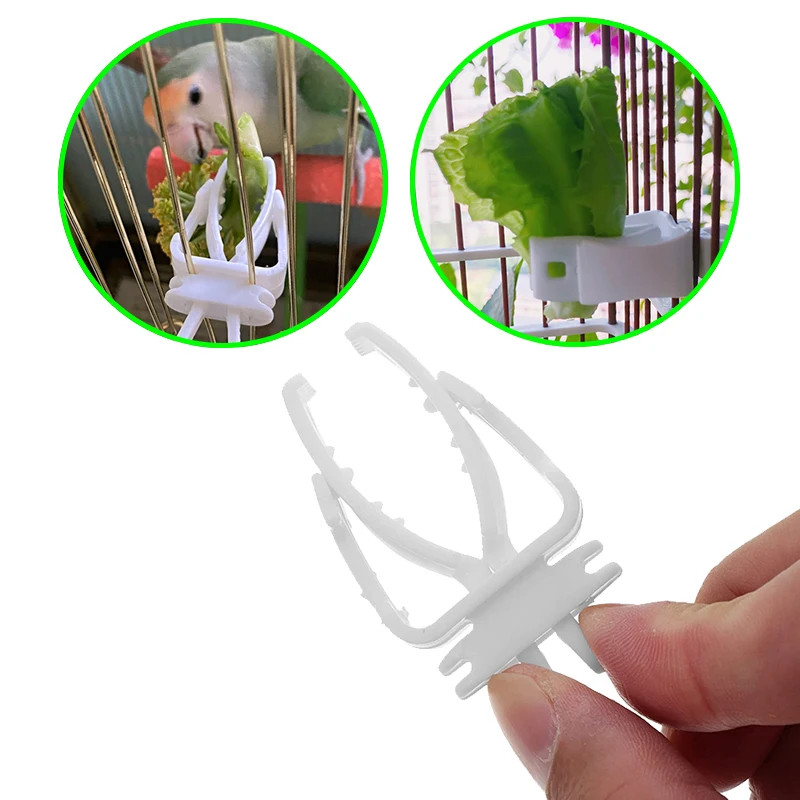 Pet Bird Food Holder Parrot Feeder Clip Cuttlefish Bone