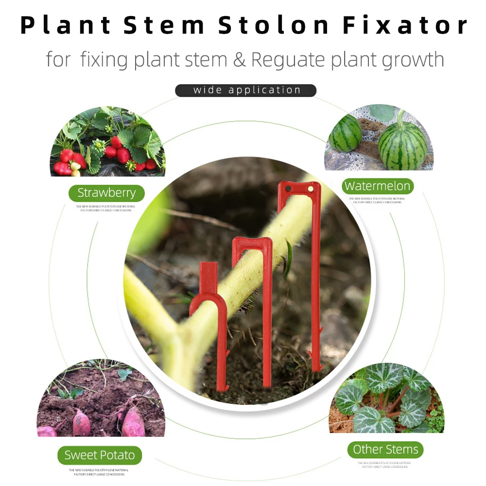 Fork 20-50PCS Strawberry Planting Dig 50mm 93mm 108mm Stolon Fixator Vine Pressing Device Watermelon Climbing Stem Clips plant clips plastic plant clips