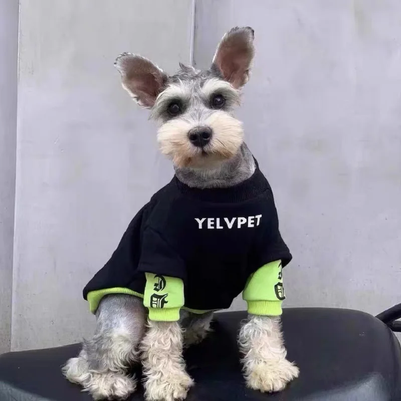 Spring Pet Clothes - PeticaDeals