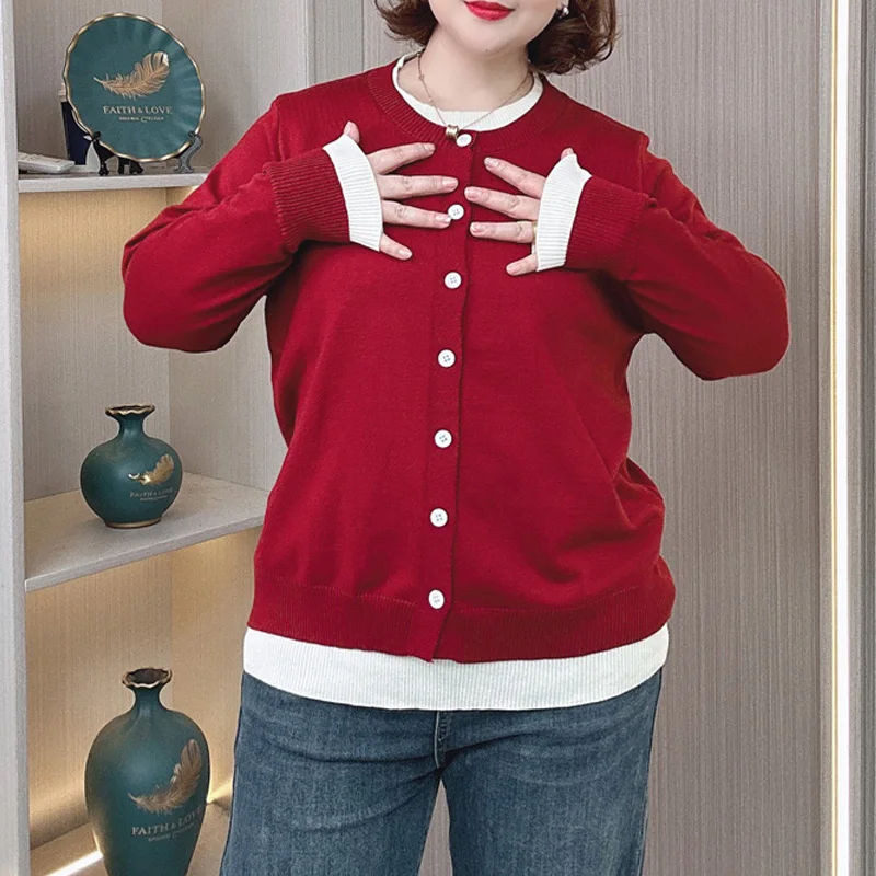 Plus Size Women Sweater Autumn Winter New Round Neck Fashion Fake Two Pieces Pullover Simple Jumpers 670