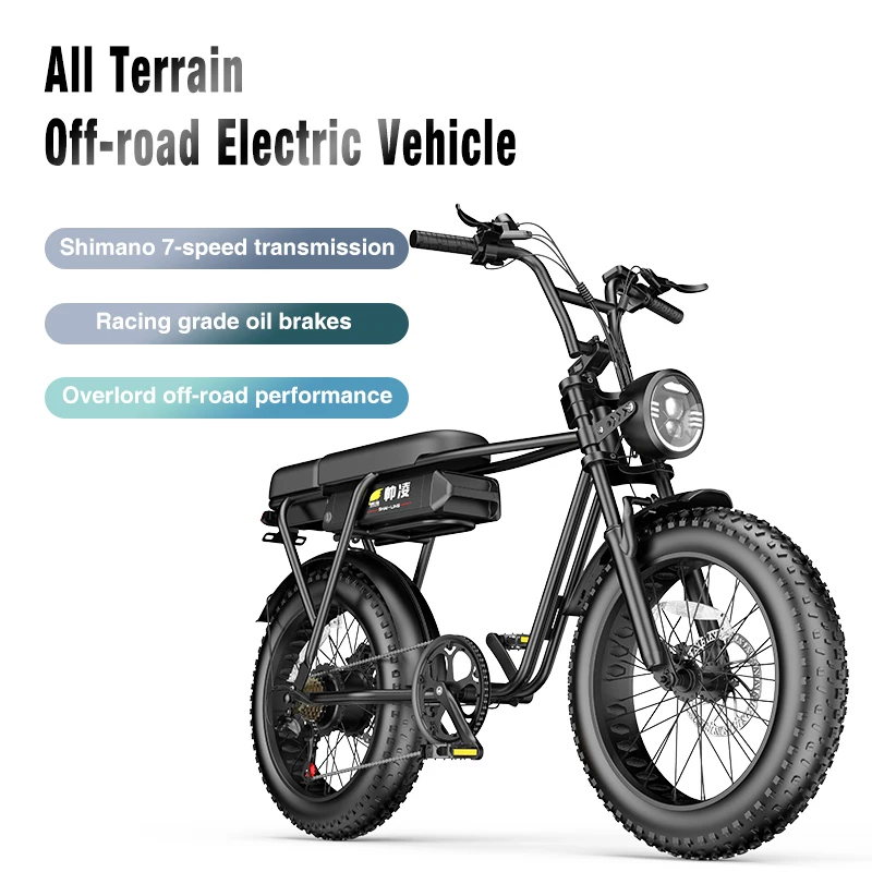 20 Inch Electric Bicycle 30AH 500W 48V Adult Mountain Ebike Men's Road Hydraulic Oil Brake Dual Shock Absorber with Battery