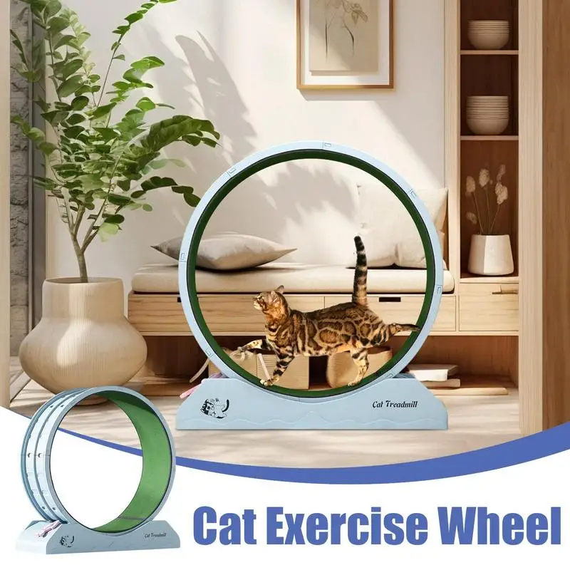 Cat Wheel Exerciser Quiet Workout Equipment For Kitten Large Cat Wheel Exerciser For Indoors Safety Kitten Treadmill With Teaser