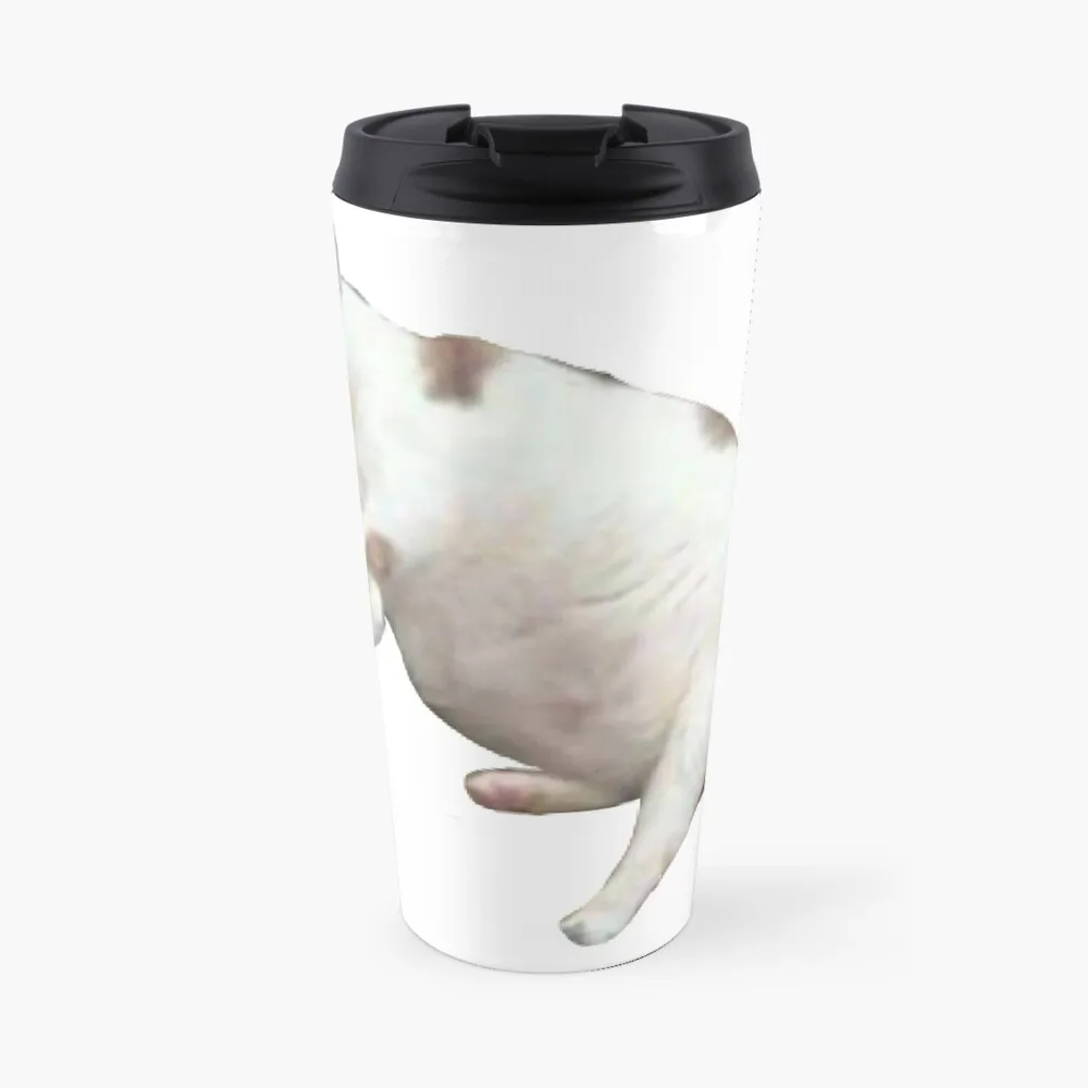 

Cat Travel Coffee Mug Cup For Coffee Cup Set Set Thermo Coffee Mug Latte Cup
