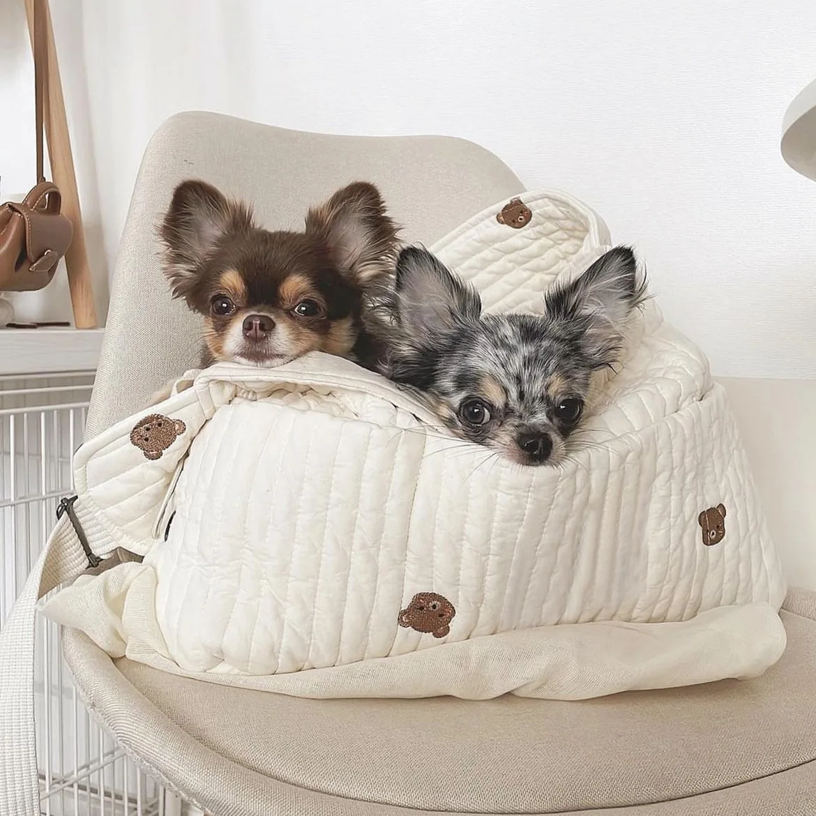 INS Cute Bear Pet Outing Crossbody Shoulder Bag Large Capacity