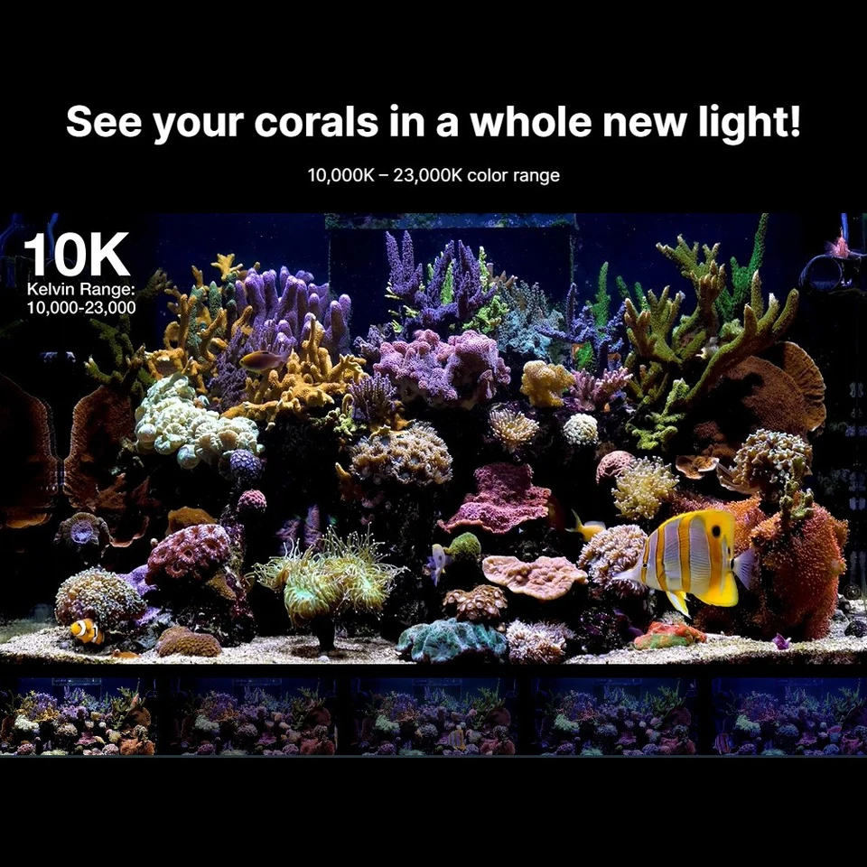 S43438277febf422f8a9116dc84854