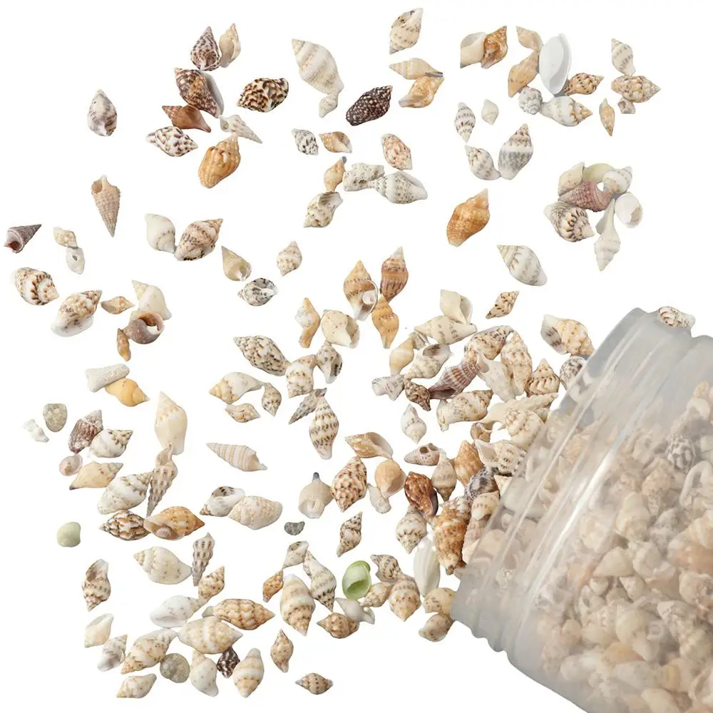 Natural Shell Ornaments 1500 PCS Mini Sea Shells Mixed Ocean Small Beach Spiral Seashells Craft Charms Seashells Decorations for DIY Crafts Fish Tank