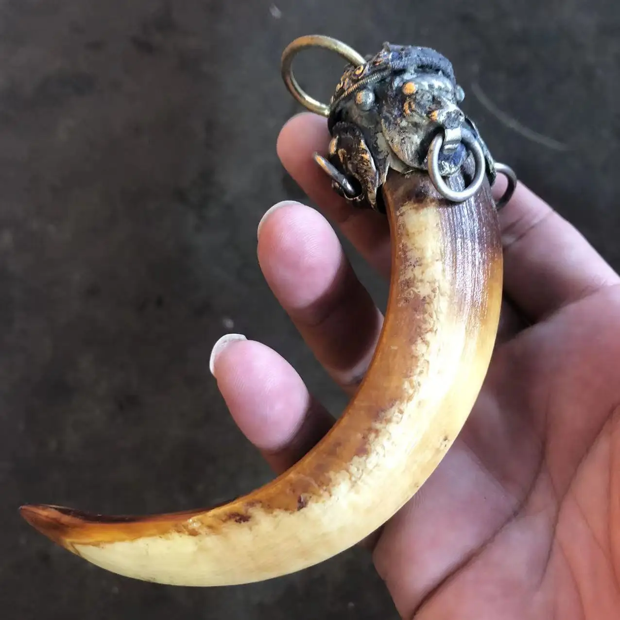 

Antique handicraft pig tooth pendant enamel color lion head inlaid pendant