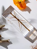 1PC Real Insect Bug Specimen Taxidermia Clear Large Bug Epoxy Resin Stick Insect Insect Scorpion Specimen Craft Decoration 1