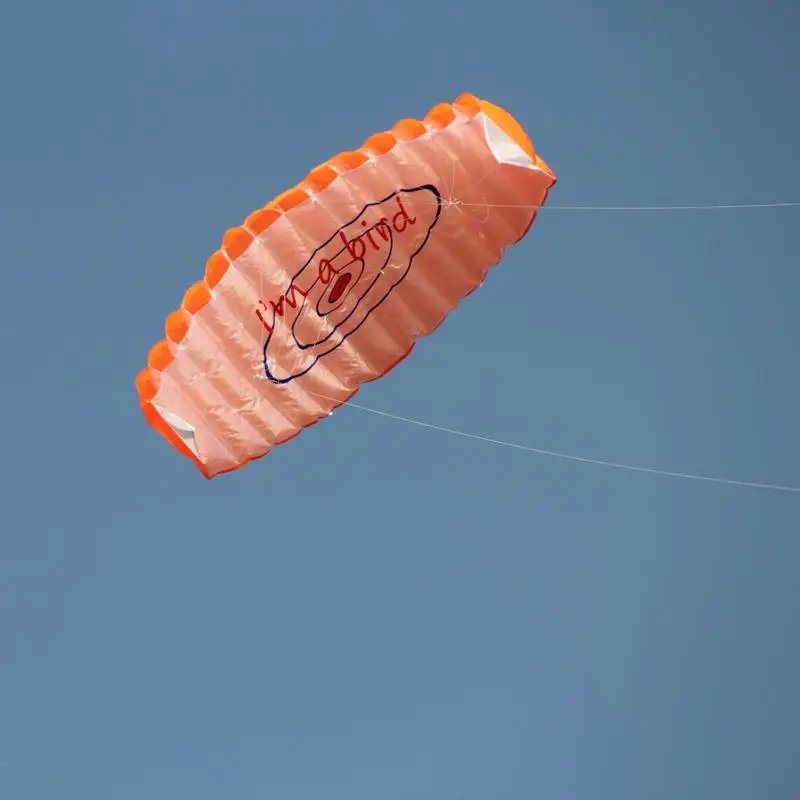 Stunt Kite 1.4m Double Lines High-Flying Large Parachute Kite Portable Big Kites For Adults Giant Park Children Beach Fun 3
