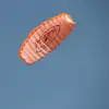 Stunt Kite 1.4m Double Lines High-Flying Large Parachute Kite Portable Big Kites For Adults Giant Park Children Beach Fun 3