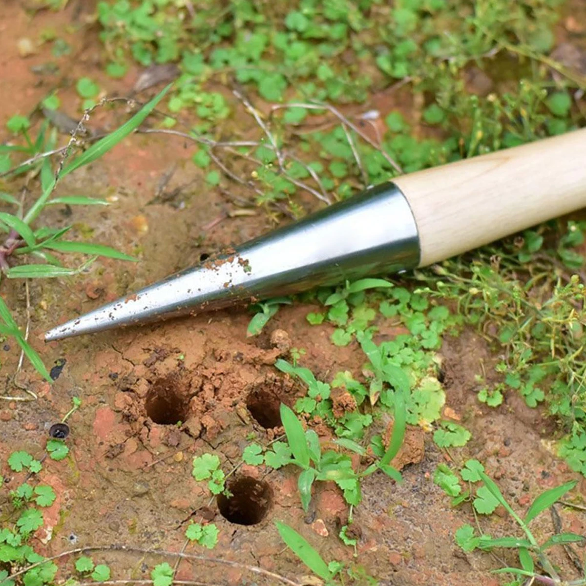 New Sow Dibber Stainless Steel Hand Dibber w/ Wooden Handle Outdoor Loosen Soil Accessory Dibber Bulb Planter w/ Seed Dispenser 6