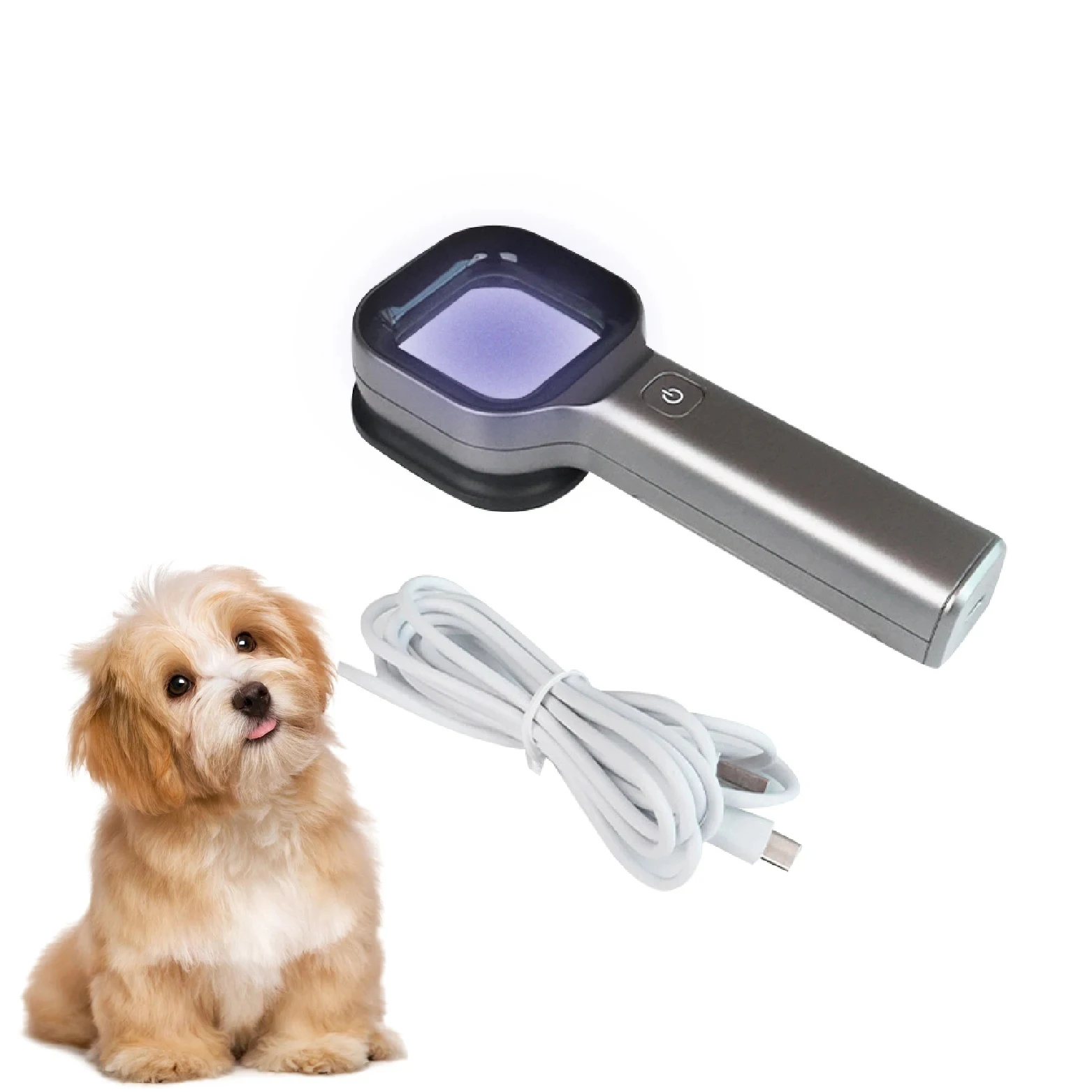 Handheld UV Wood’s Lamp 6