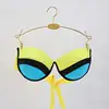 Metal Plated Inner Hanger with Clips, Bra Clips, Socks, Panty Racks, Home Drying Clothes, Display Hangers for Store 1