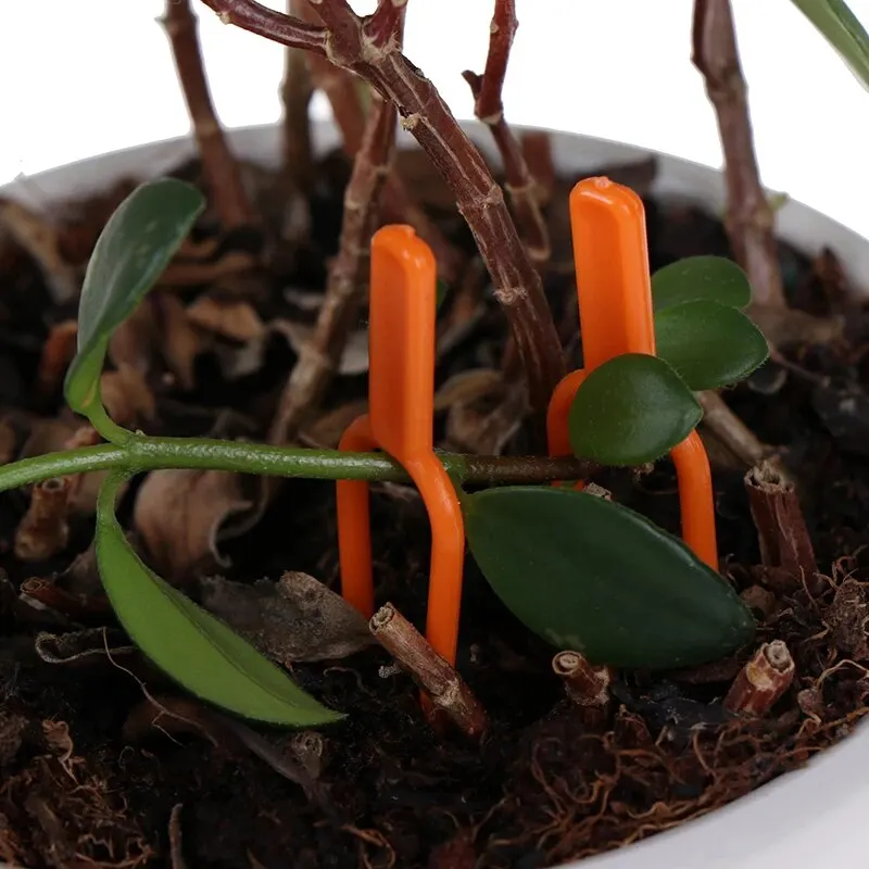Plant Support Gardening Clip Fixed Fork Plant Clip 200 Pcs