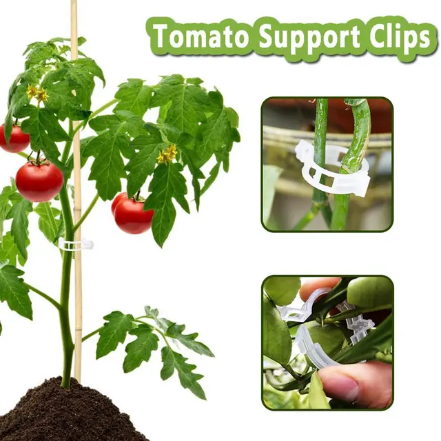 50/100 Darabos Növénytámogató Kerti Klipek Műanyag Szőlő Rácsos Klip Ravaszító Rögzítő Bilincsek Paradicsom Uborka Virág Squash - Image 4