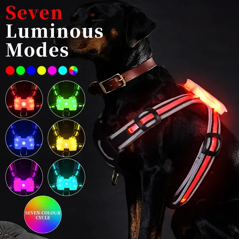 Adjustable LED Dog Harness, Rechargeable, Flashing, Waterproof, Night Anti-Lost, Light Harness, Luminous Dog Collar Adjustable LED Dog Harness, Rechargeable, Flashing, Waterproof, Night Anti-Lost, Light Harness, Luminous Dog Collar