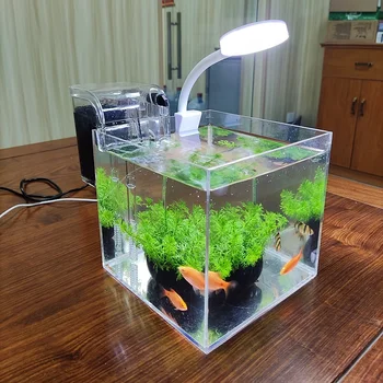 Mini Acrylic Desktop Aquarium 1