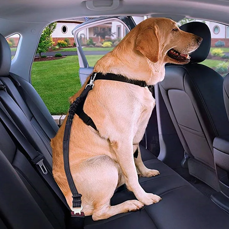 

Car Interior Accessories Reflective Elastic Nylon Pet Car Safety Rope Retractable Car Dog Safety Rope