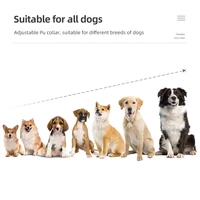 Electric Dog Training Collar Rechargeable Anti Barking Shock Vibration Collar Waterproof Trainer for All Dogs Pet with Clicker 4