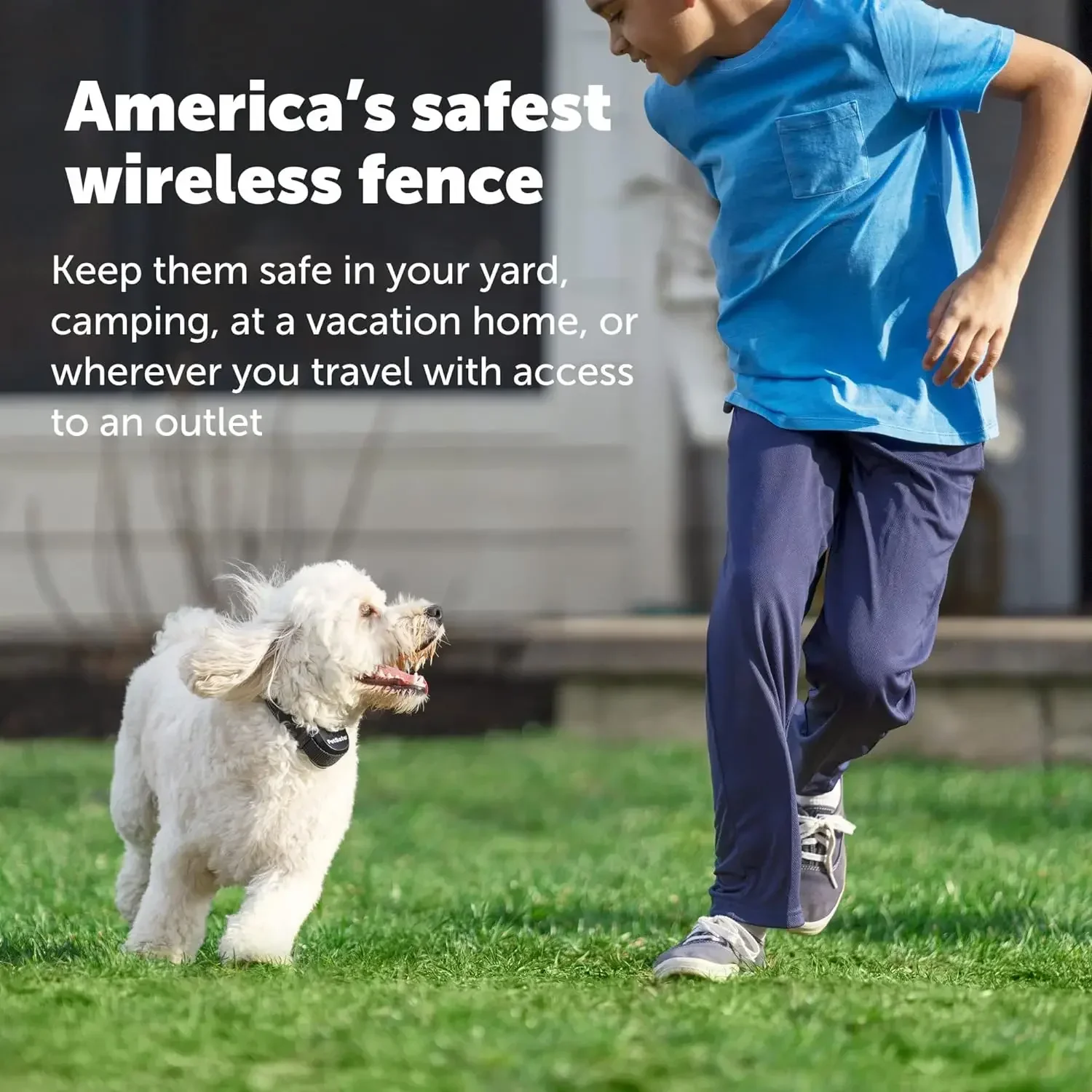 PetSafe-Wireless Pet Fence, Replaceable Battery Collar, Circular Boundary Secures up to 3/4, Stay & Play