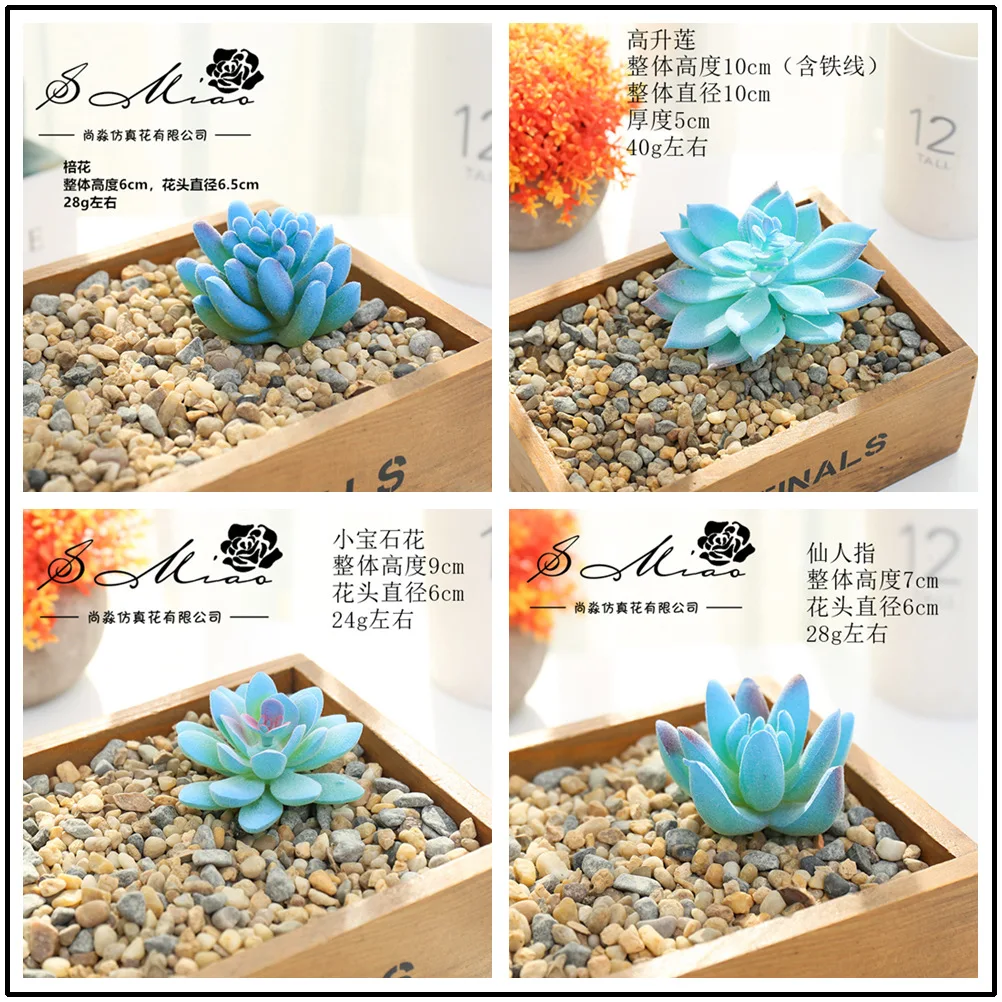 Blau Künstliche Sukkulenten Pflanzen für Haus Garten Dekoration Hochzeit Pflanzen Wand Blume Anordnung Bonsai Gefälschte Pflanzen 20 teil/los – Detail 1