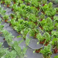 50-100pcs galvanized landscape staples, outdoor decorative stakes, anti weed barrier fabric anti rust staples, U-shaped tent 6