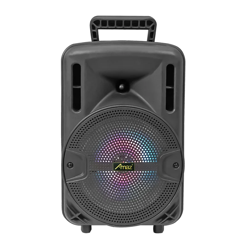 

15-дюймовый портативный динамик нового дизайна с USB/FM/SD-картой/BT/светодиодным дисплеем/пультом дистанционного управления