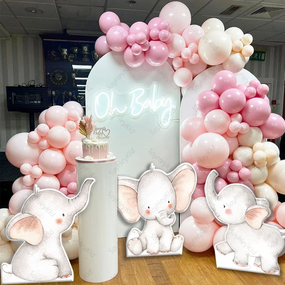Gender Reveal Safari Baby Shower Decorations Gender Reveal