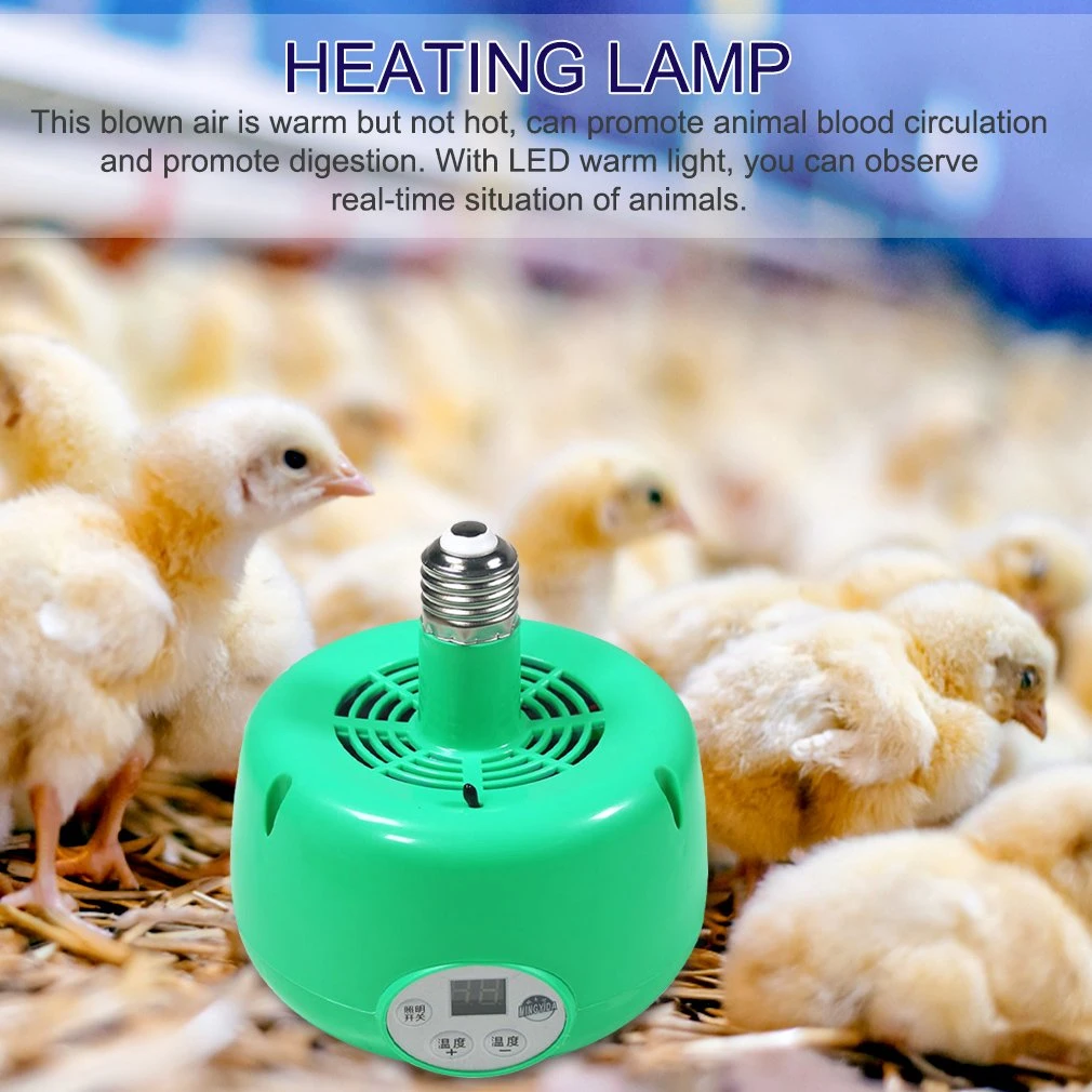 How Long Should You Keep A Heat Lamp On Puppies