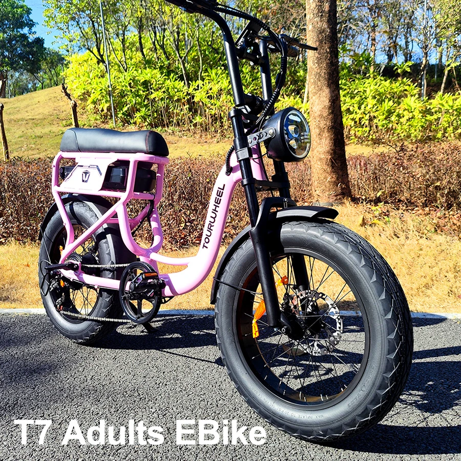 Ebike 20Inch 48V Full Suspension 500W Lithium Battery Fat Tire 25KM/H Mountain Motorcycl Electric Bicycle with LCD display