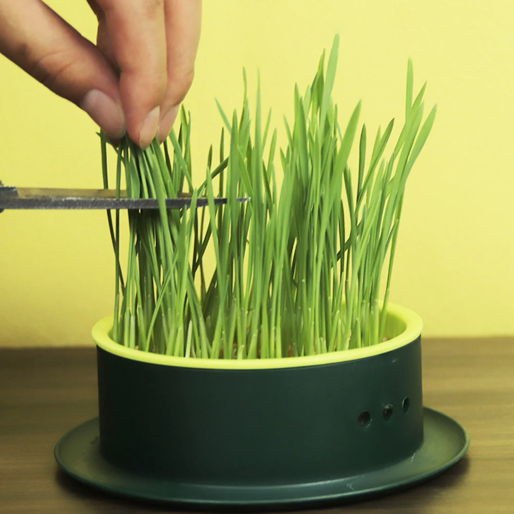 

2 Pcs Soilless Hydroponic Cat Grass Seed Box Set Flower Pots Convenient Planter