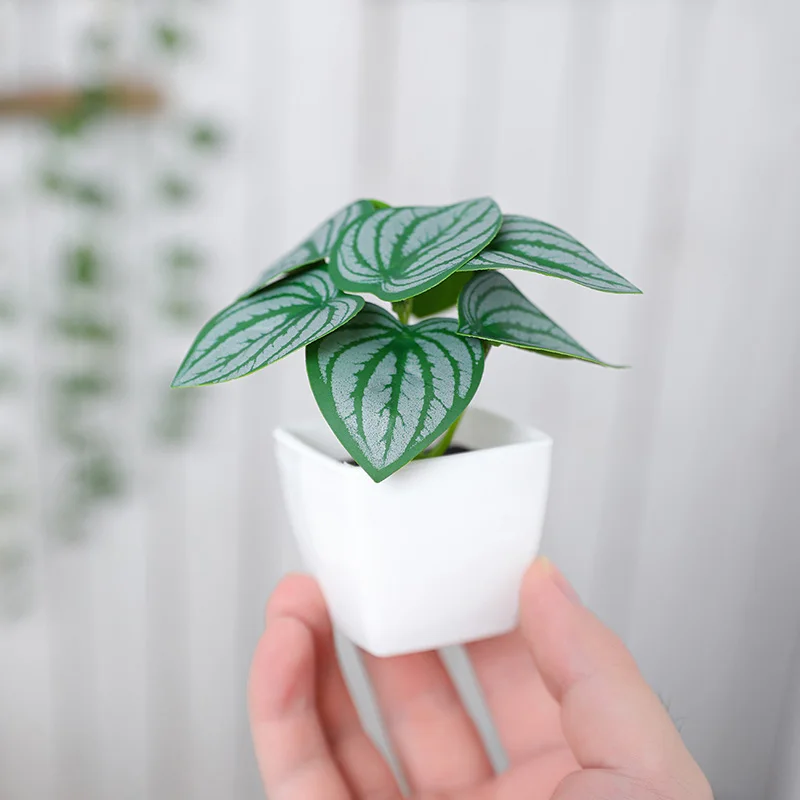 6PCS Artificial Evergreen Plant Bonsai, Suitable For Home, Restaurant, Office, Desktop, And Window Sill Decoration 4