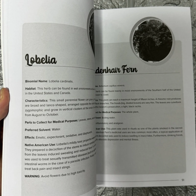 The Herbal Remedies & Natural Medicine Bible The Ultimate Collection of Healing Herbs and Plants to Grow English Paperback Book 2 The Herbal Remedies & Natural Medicine Bible The Ultimate Collection of Healing Herbs and Plants to Grow English Paperback Book 2