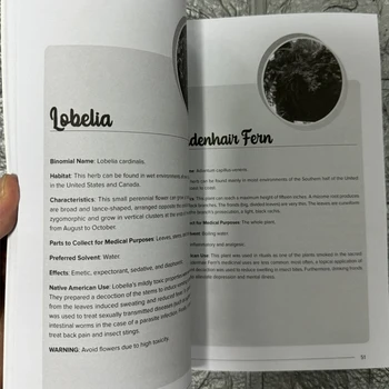 The Herbal Remedies & Natural Medicine Bible The Ultimate Collection of Healing Herbs and Plants to Grow English Paperback Book 2