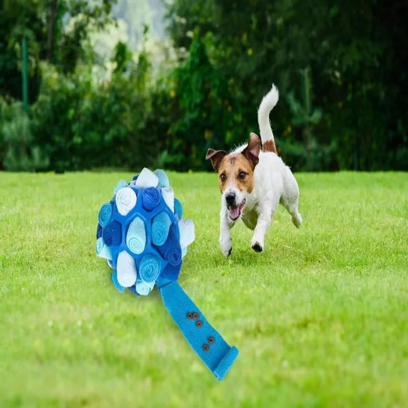 https://ae01.alicdn.com/kf/S436ff3923acd4f64b6683957e554a7f8H/Dog-Sniffing-Ball-Puzzle-Interactive-Toy-Portable-Pet-Snuffle-Ball-Encourage-Training-Educational-Pet-Slow-Feeder.jpg