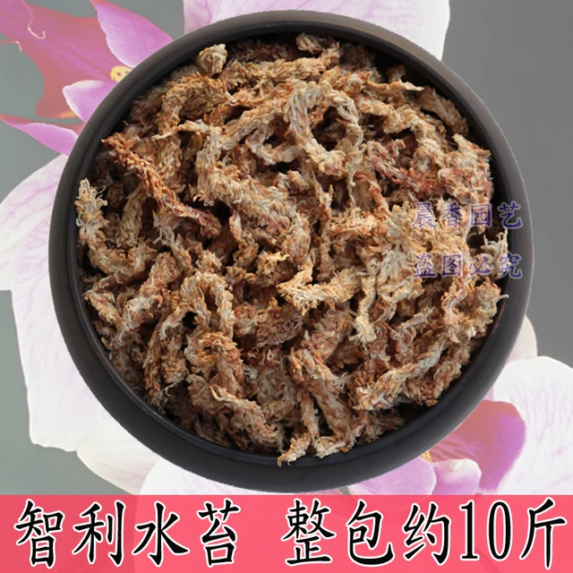 Chilei Importált Vízmoha, Hernyó, Moha, Pillangó, Orchidea, Talajfarnivórusos Növény, Teknős Hibernáció És Hidratáló - Image 3