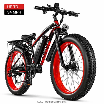 1000W Fat Tire Electric Bike 1