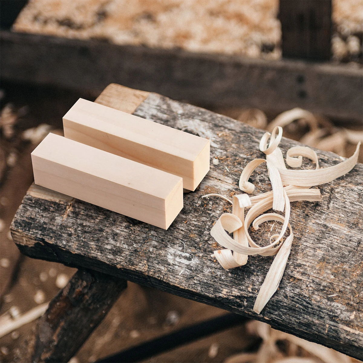 10/12Pcs Wood Carving Block Premium Basswood Wood Natural Soft Wood Carving Block Unfinished Wood Block Carving Art Supplies