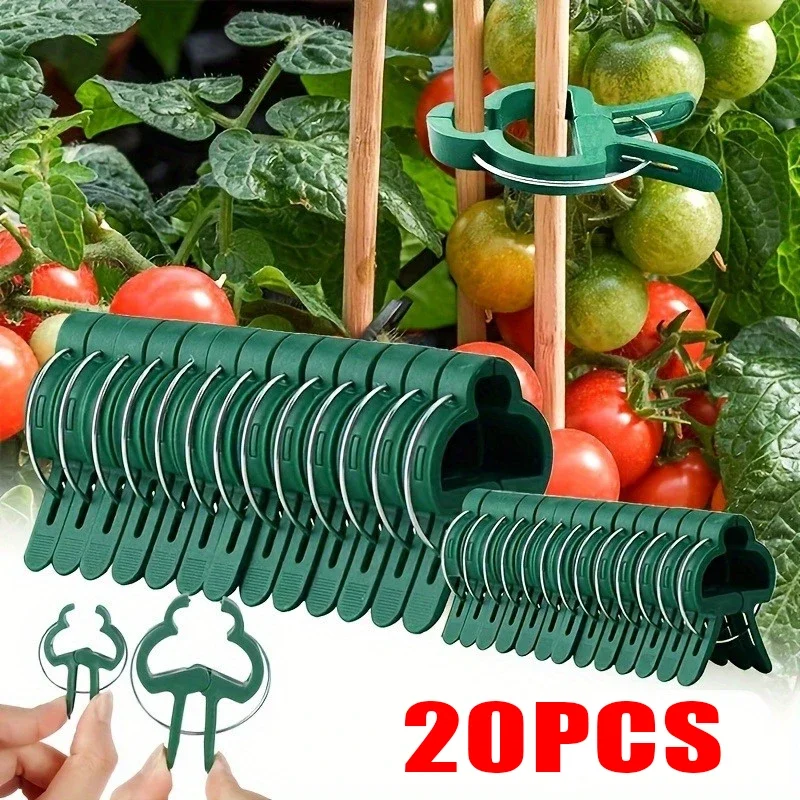 식물 고정 클립 재사용 가능한 온실 브래킷, 꽃 덩굴 야채 토마토 패스너, 정원 용품, 줄기 고정, 20 개