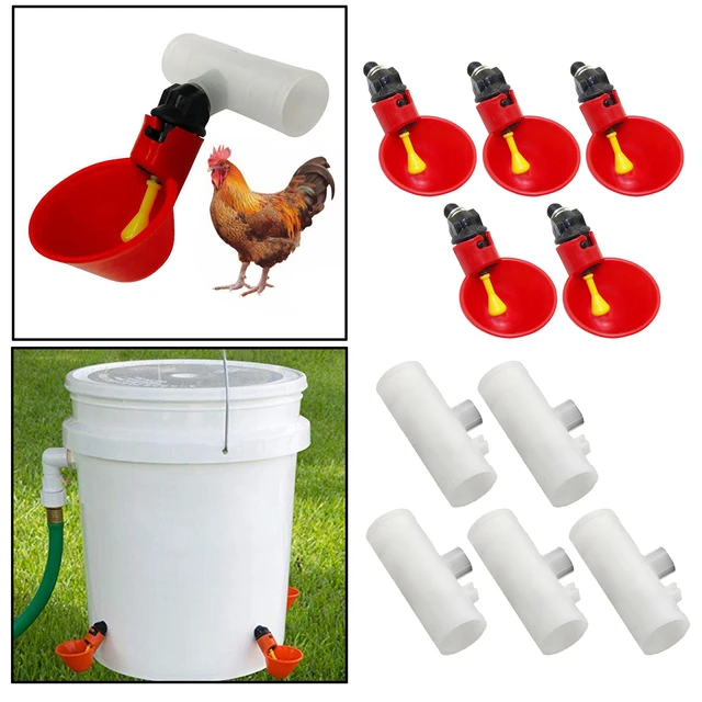 Bere acqua per pollame, abbeveratoio automatico per galline e galline -  AliExpress